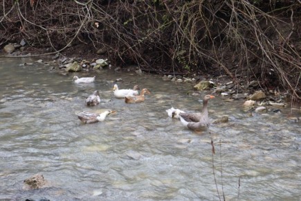 ������� ������ � ����� �� 29 ������