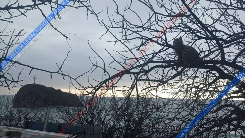 � �������� � ����������� ����� ����������