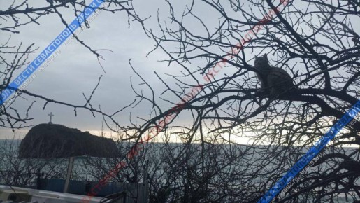 � �������� � ����������� ����� ����������