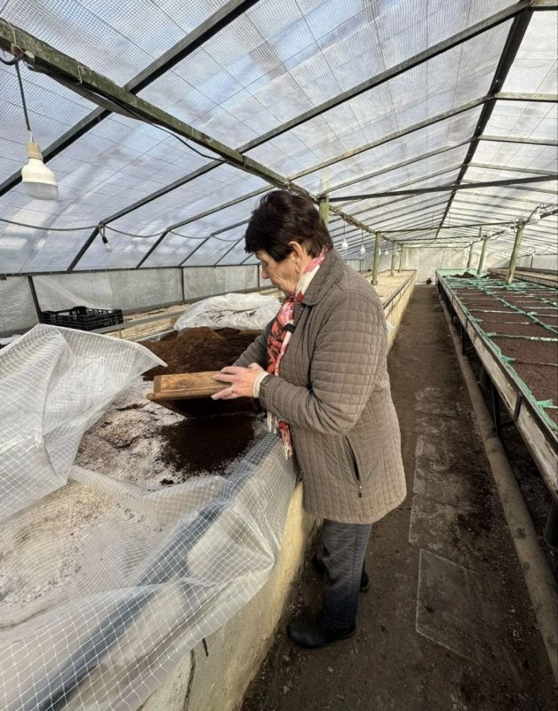 � �������� ������� � ������� ���������� � ����������� ������ ��������� �������