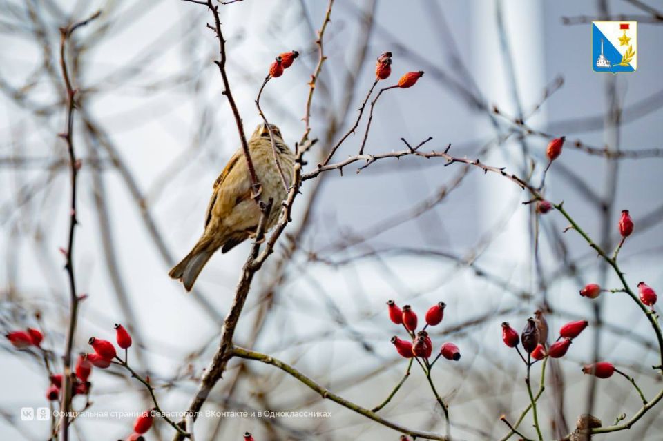 ����������, ��� ��������� ��������������� �������