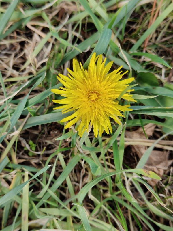 � ������ ��������� �����, ������!