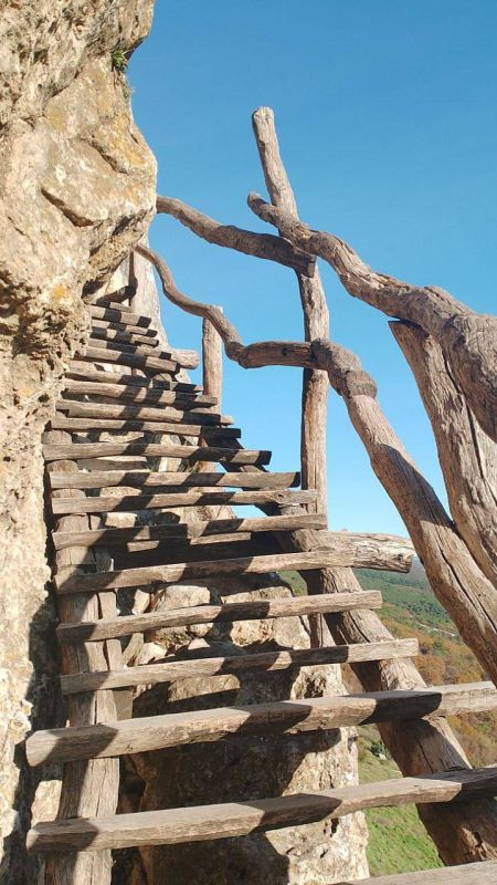 ������ �� 30 ������ :