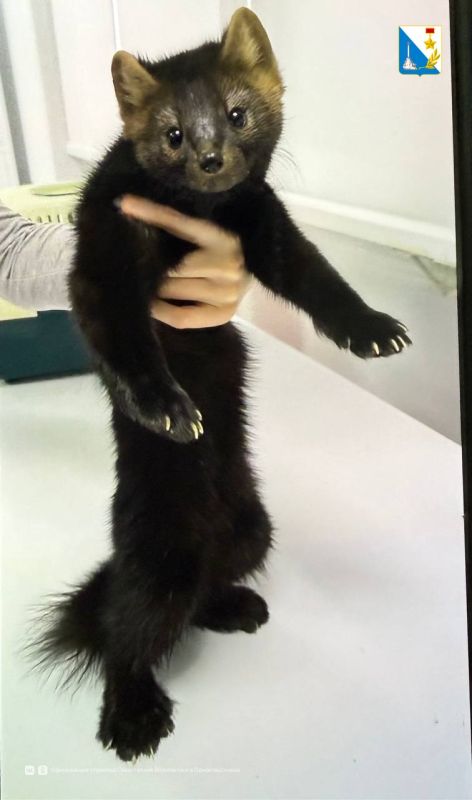 ������������� ����������� � ������ ������� 265 ��������