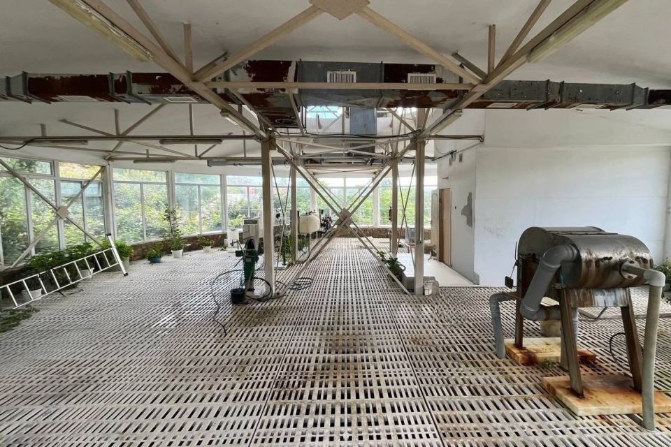 �� ���������� ���������������� ������������ ���������������� ��������� ��������� ��������� ��� ������������ ��������������-�������� ����������