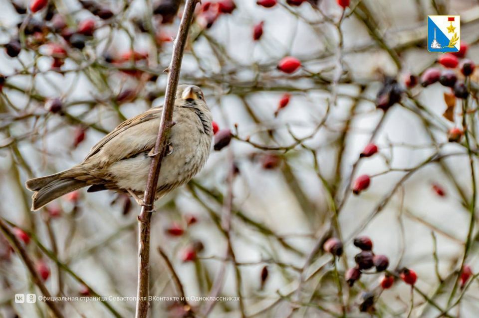 ����������, ��� ��������� ��������������� �������