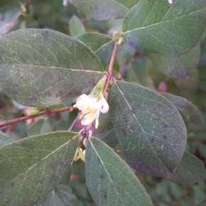 Всем доброго субботнего утра!