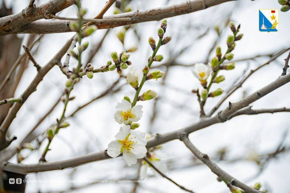 �� ��� ������ ������ �������� �������?