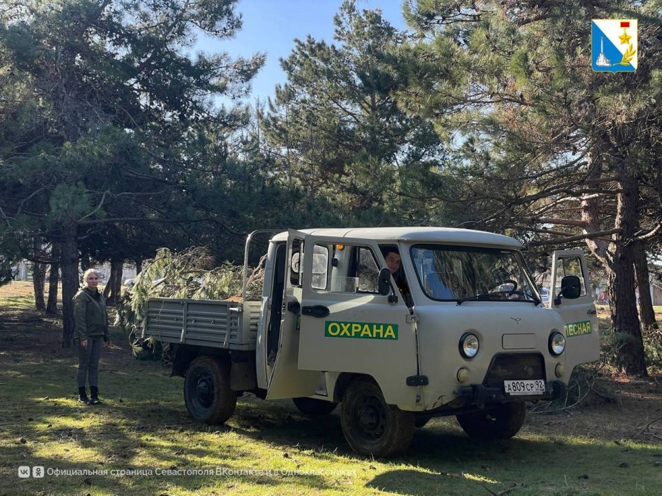 � ���������� ����������� ������� ������ ���������