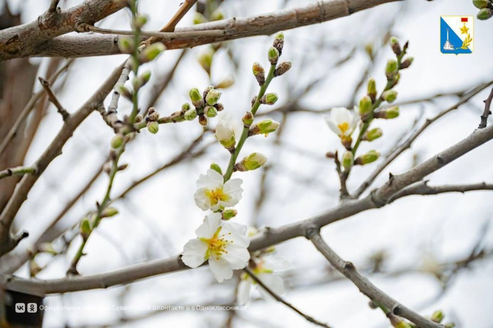 � ����������� ������ �������