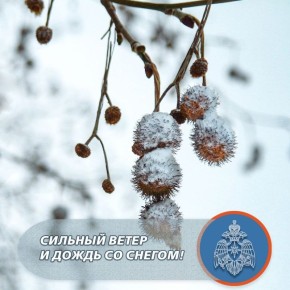 ������� ����� � ����� �� ������ ������ � �����������!