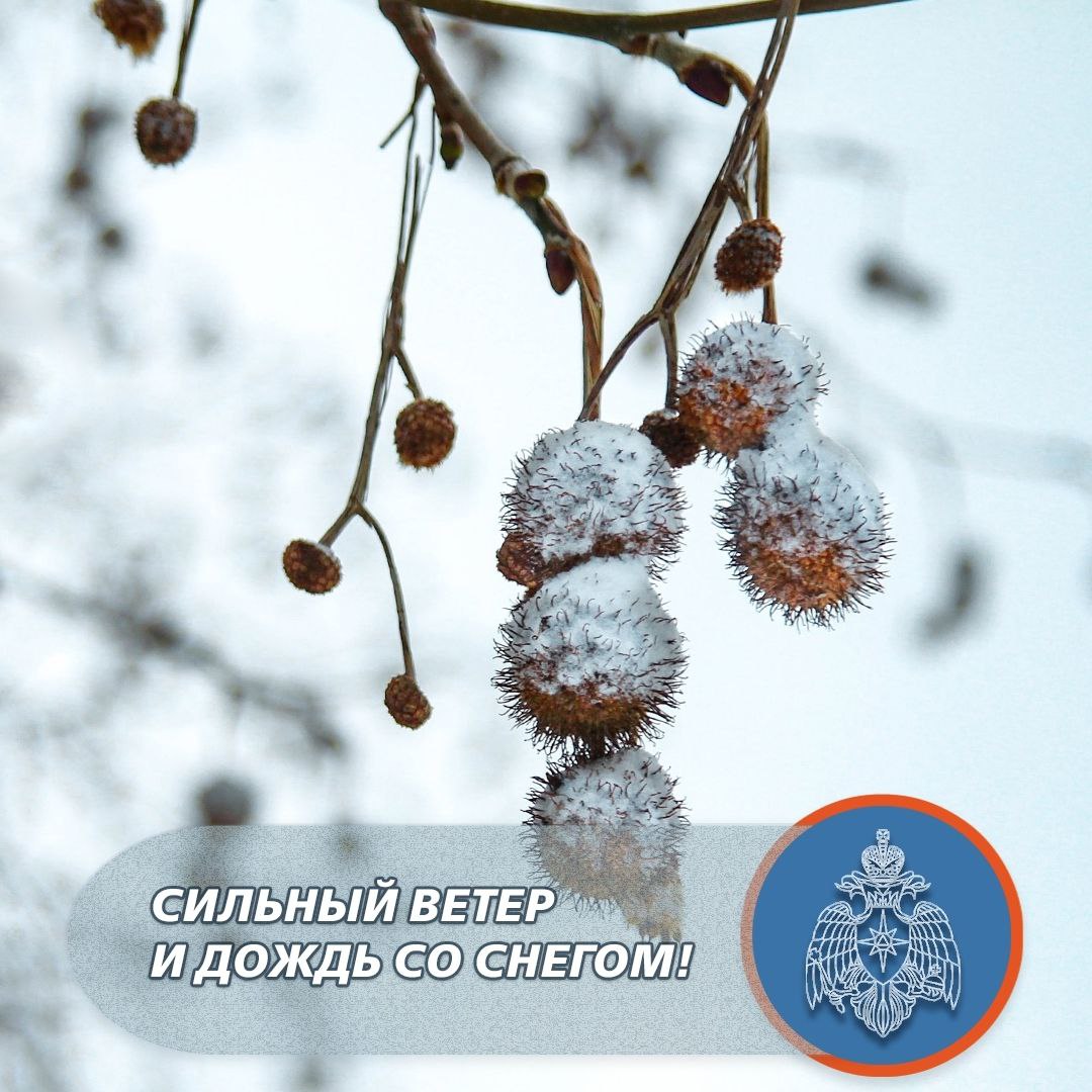 Сильный ветер и дождь со снегом завтра в Севастополе!