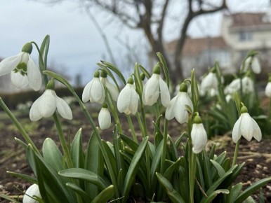 ������� ����, ������! ���� ����� ���������� ������ ����!