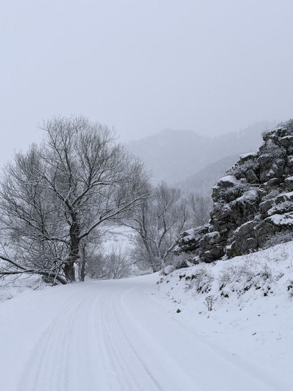 ���� �����������: ����������� ��� ������� �� �����, � � ������ � �������� �� ������� ���� ������������ ����������! ������� ����� ������������ � ���������� ������������� � �� ������ ������ �� ���������� ���