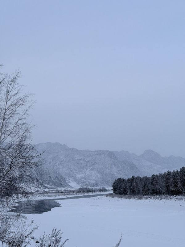 ���� �����������: ����������� ��� ������� �� �����, � � ������ � �������� �� ������� ���� ������������ ����������! ������� ����� ������������ � ���������� ������������� � �� ������ ������ �� ���������� ���