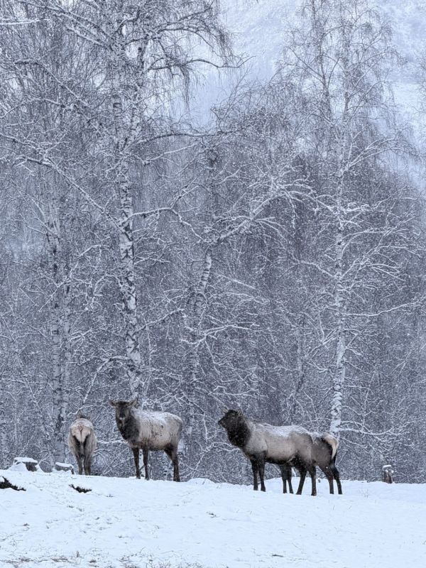 ���� �����������: ����������� ��� ������� �� �����, � � ������ � �������� �� ������� ���� ������������ ����������! ������� ����� ������������ � ���������� ������������� � �� ������ ������ �� ���������� ���