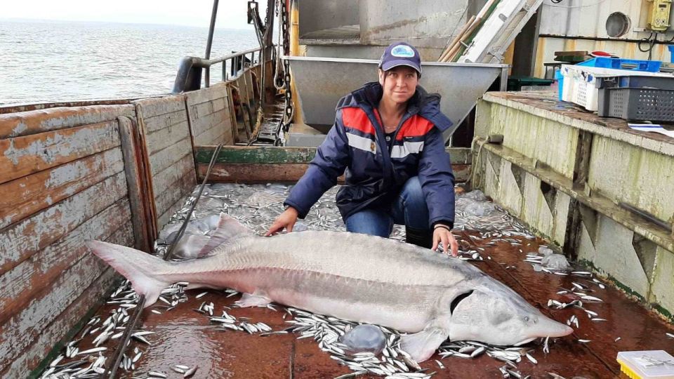 �������� ���� ����� ����� ������� ��������� �������� ������