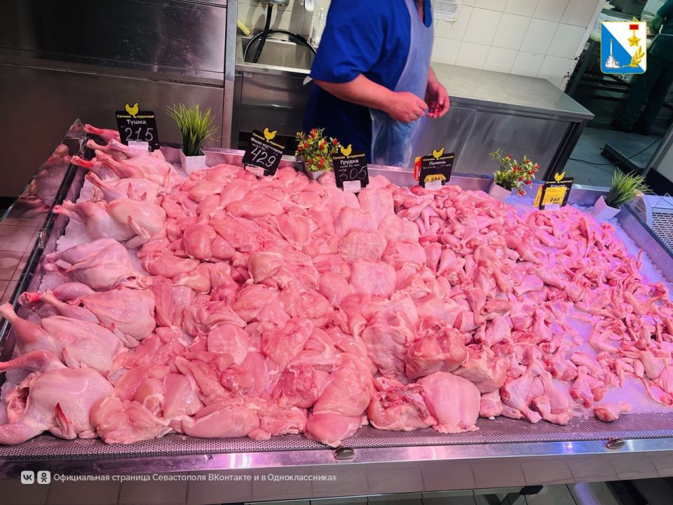 ������� ����������: ������ ������� �� ��������