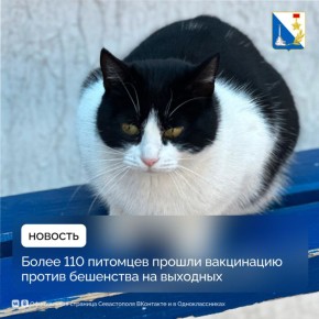 ��������������� ���������� ������� ������ ��������� 111 ��������