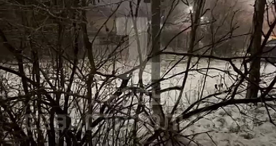 � ����������� ����� ����.. ��������� �������� �� ��������� �������� ������� 2 �������. ���� ������ ������-���������� ����� ����� ���������� 17-22 �/�, ��������� ���� � ����� �� ������