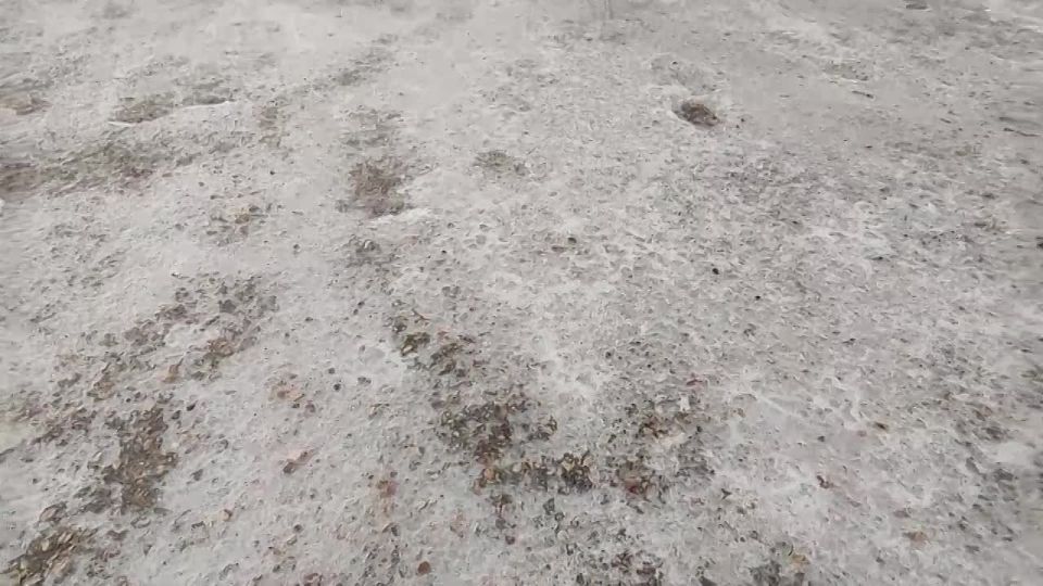 ��� ������ ������� ������: ������ � ����������� �� ����� ��������� ��� ������ �����������