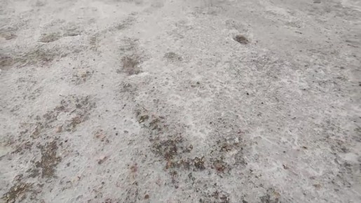 ��� ������ ������� ������: ������ � ����������� �� ����� ��������� ��� ������ �����������