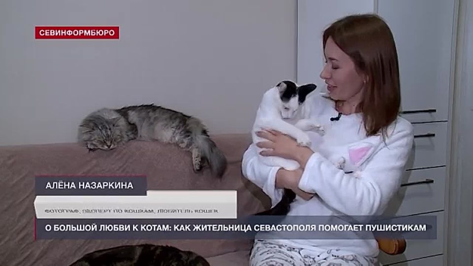 � ������� ����� � �����: ��� ���������� ����������� �������� ����������