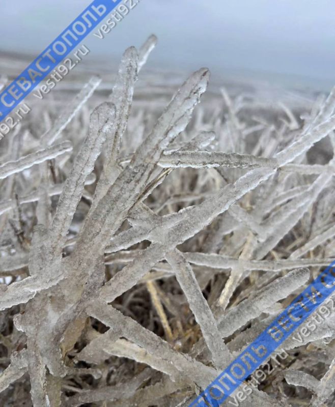 ��������� ����������� � ������ �������� ���������!