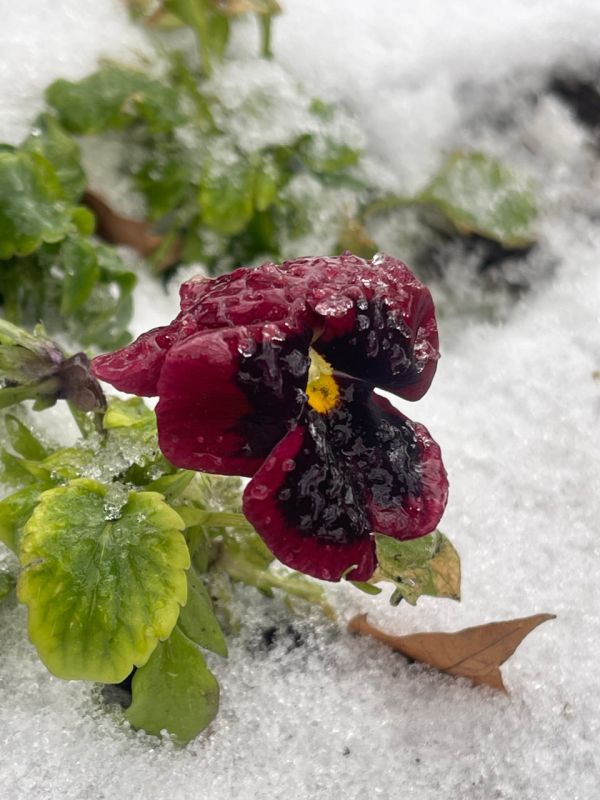 Доброго утра, друзья!. В Севастополе в среду без осадков