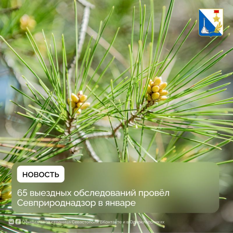 Севприроднадзор подвел итоги работы в январе