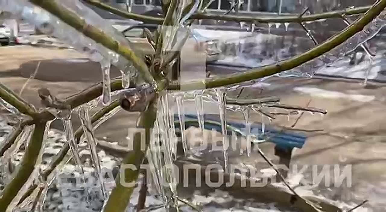 Лёд сковал деревья и кустарники во дворах домов на ул. Генерала Острякова в Севастополе, превратив их в хрустальные скульптуры