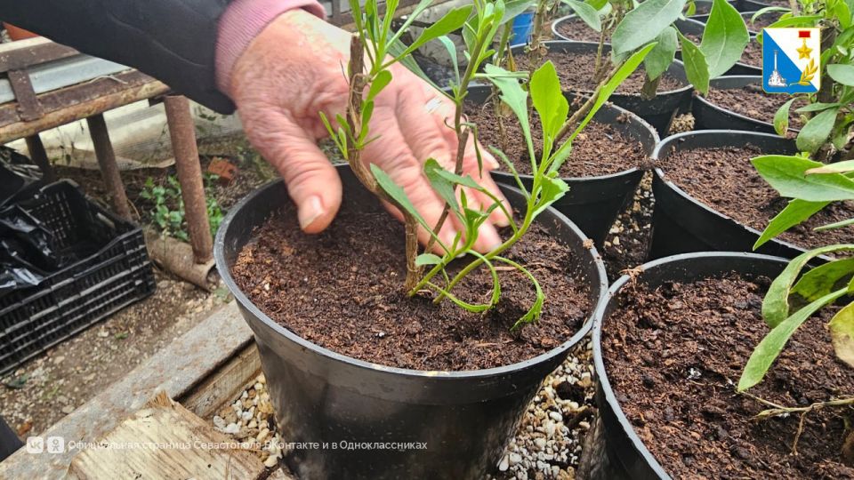 � ��������� ������� � ������� ���������� ����� ����� �� ��������