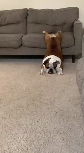 �������� ����������� ��������� ����: �� ����� ��������� �������� ������