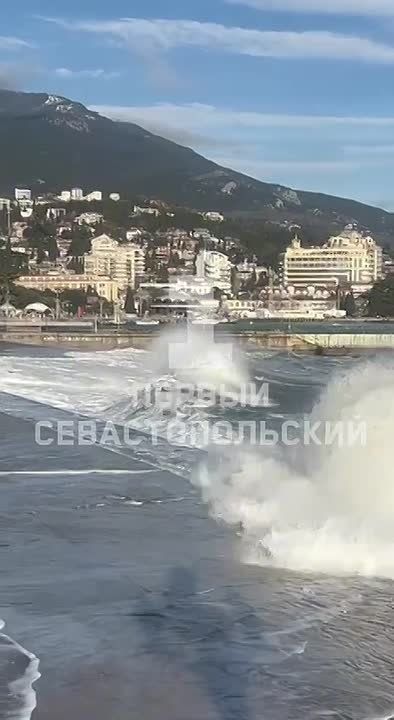 ׸���� ���� ������� � ����