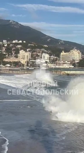 ׸���� ���� ������� � ����