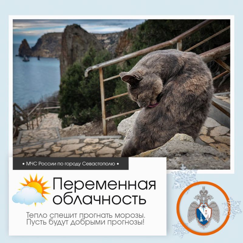 ������ ����, �����������!. �� ������ ��������������, 5 ������� � ����������� ����� ���������� ����������