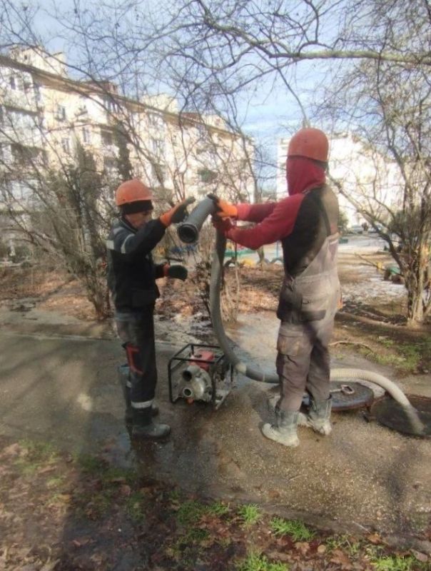 ���������: ������� �������. ��������-����������������� ������ �� ����� �������������