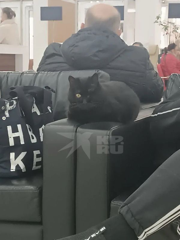 ������, ����� ����� �������� ������ ��������� ����� � �������? ������� ��, �����������!