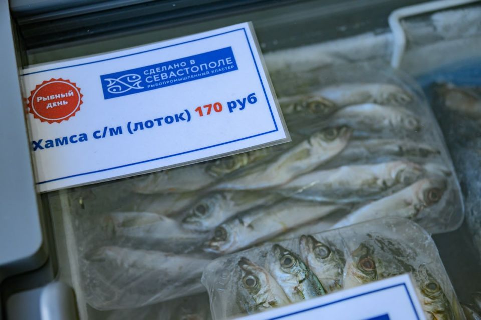 ����� ������� ����� � ����������� �����������: ������ �� ���� ������ ��������� � �������� �� ������������� �����