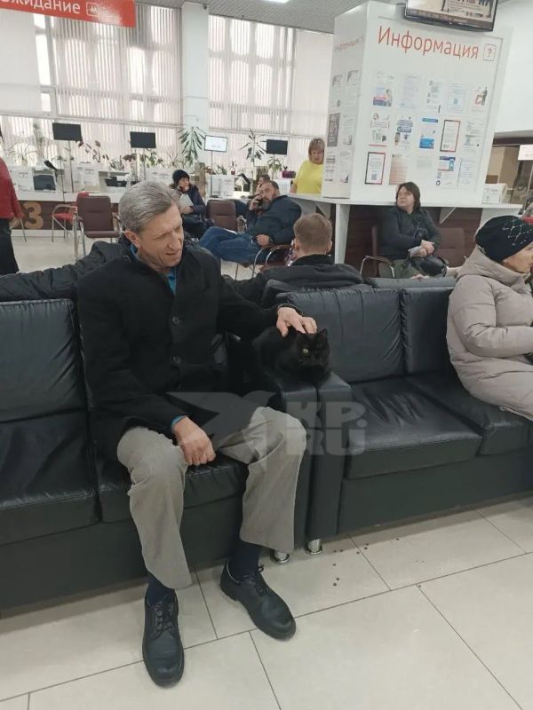 Знаете, какой самый приятный способ скоротать время в очереди? Конечно же, кототерапия!