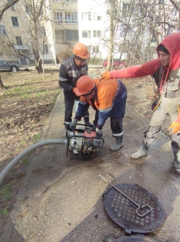 ���������: ������� �������. ��������-����������������� ������ �� ����� �������������