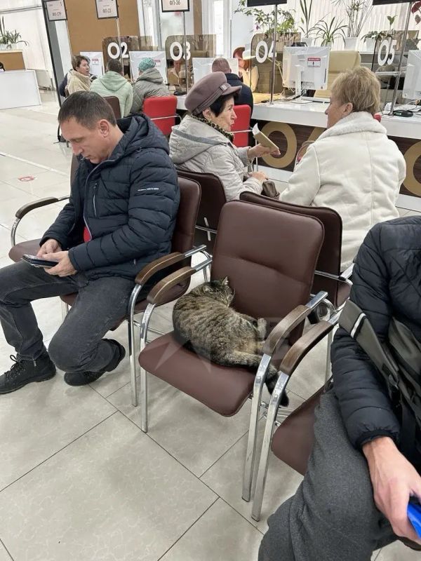 ������, ����� ����� �������� ������ ��������� ����� � �������? ������� ��, �����������!