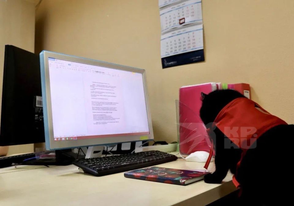 ������, ����� ����� �������� ������ ��������� ����� � �������? ������� ��, �����������!