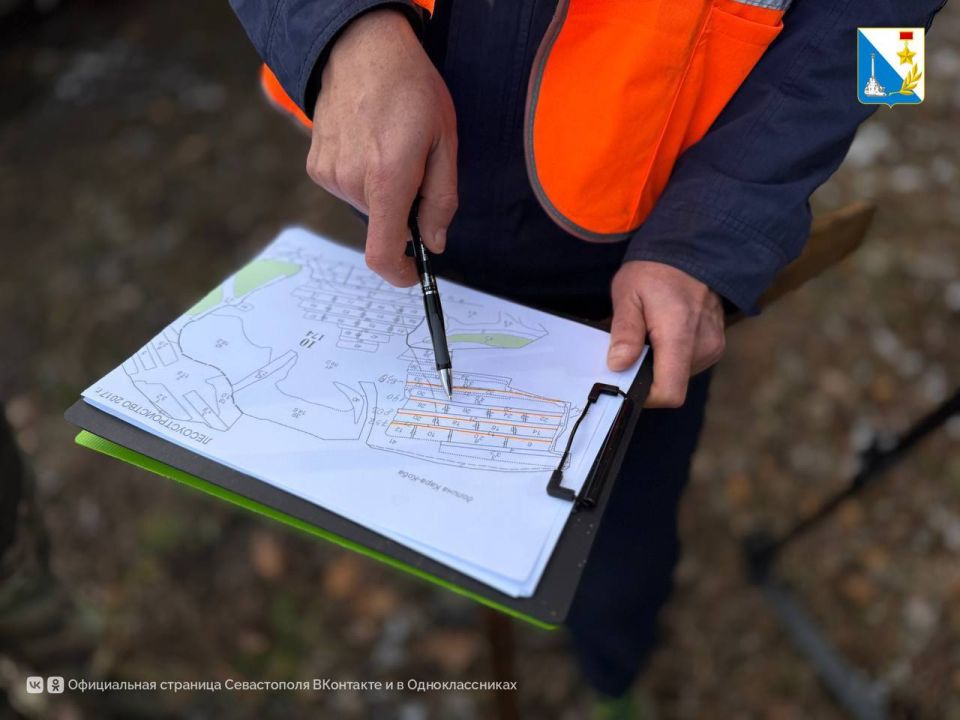 В Терновском лесничестве начали готовить деревья к обрезке сухостоя В Терновском лесничестве начали готовить деревья к обрезке сухостоя