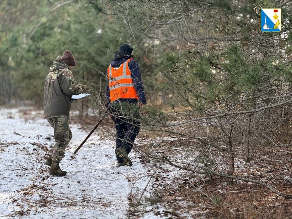 В Терновском лесничестве начали готовить деревья к обрезке сухостоя В Терновском лесничестве начали готовить деревья к обрезке сухостоя