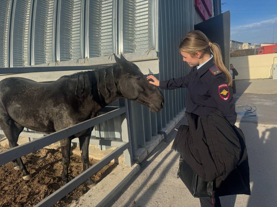 ��������������� ������ ������� ���������� ��� �������� � ������ � ����������� ���������-�������� ������ �������