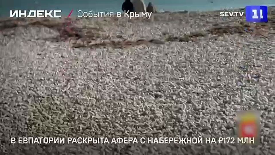 ������ ������ ������: � ��������� �������� ����������� ����� �� ���������� � ������� 172 ��� ������ ��� ������������� ����������