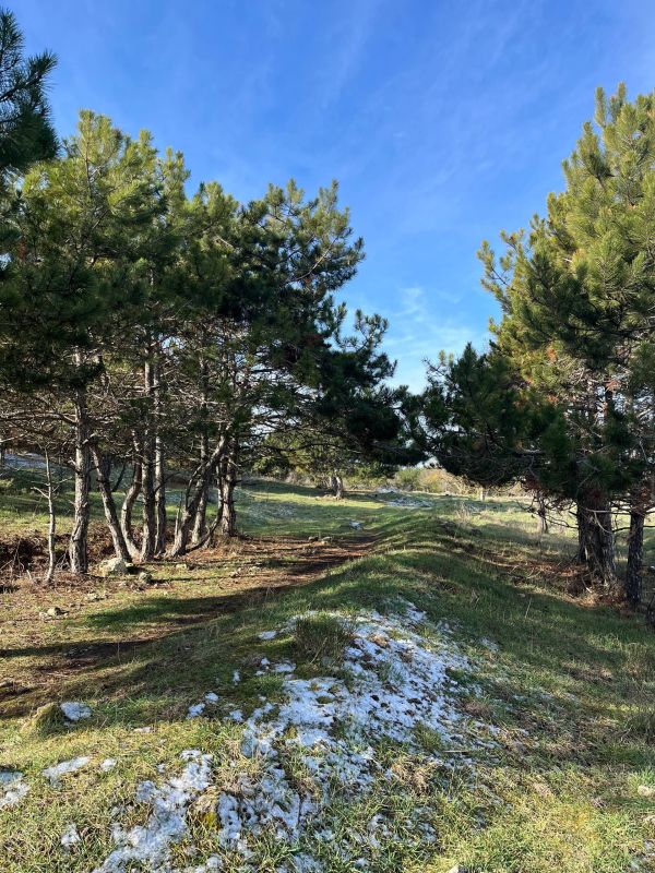 ������ �� 7 ������� :