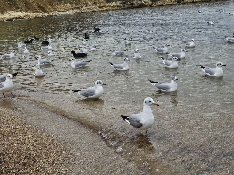 � ������ ���������� �����, ������!