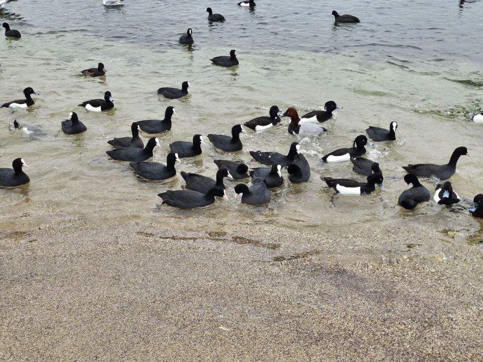 � ������ ���������� �����, ������!